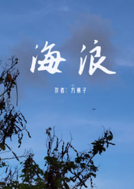 倒计时（包养1v1,h)